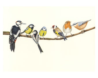 Watercolour Bird Print - Bird Art - Bird Print - Woodpecker - Nuthatch - Robin - Garden birds - Nature Lover - Bird Lover - Birds on a line