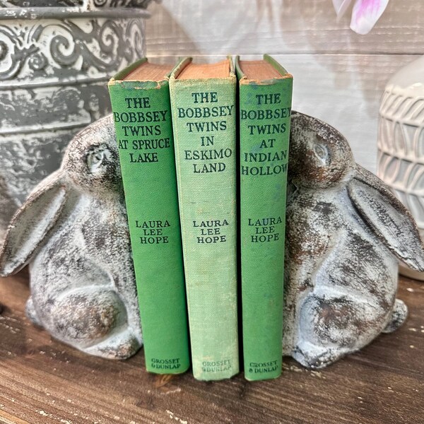 Large set of Bunny Booked, Easter Bunny Rabbit Desk Decor Bookend