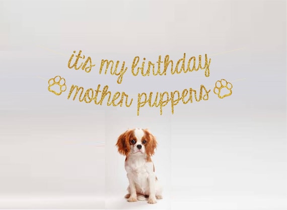 Dog Birthday Banner, Dog Birthday Party Decorations, Dog Party