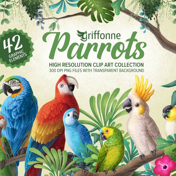 DIGITAL DOWNLOAD - Parrots Clipart - Parrots Clip Art, Tropical Clip Art, Exotic, Birds, Digital watercolor clipart, Commercial use