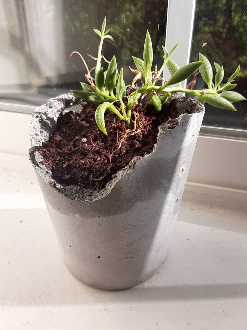 3 inch Cement Succulent Pot Handmade Planter with or without Etsy