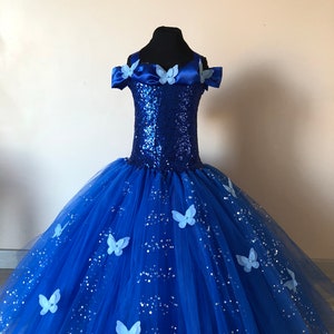 Cinderella princess dress