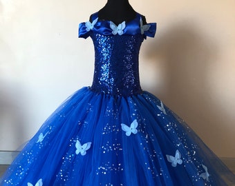 Cinderella princess dress