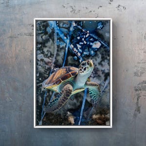 Sea Turtle Art Print, Marine Life Picture, Ocean Animal Wall Art, Swimming Sea Creature, Coastal Beach House Decor, Underwater World Artwork