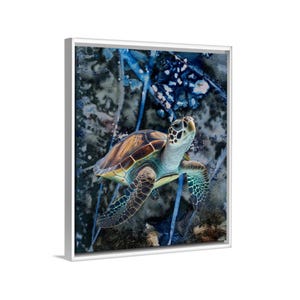 May include: Framed art print of a sea turtle in an aquatic setting. The turtle has a brown and yellow shell, with green and blue details on its flippers. The background features blue and grey tones, creating a marine scene.