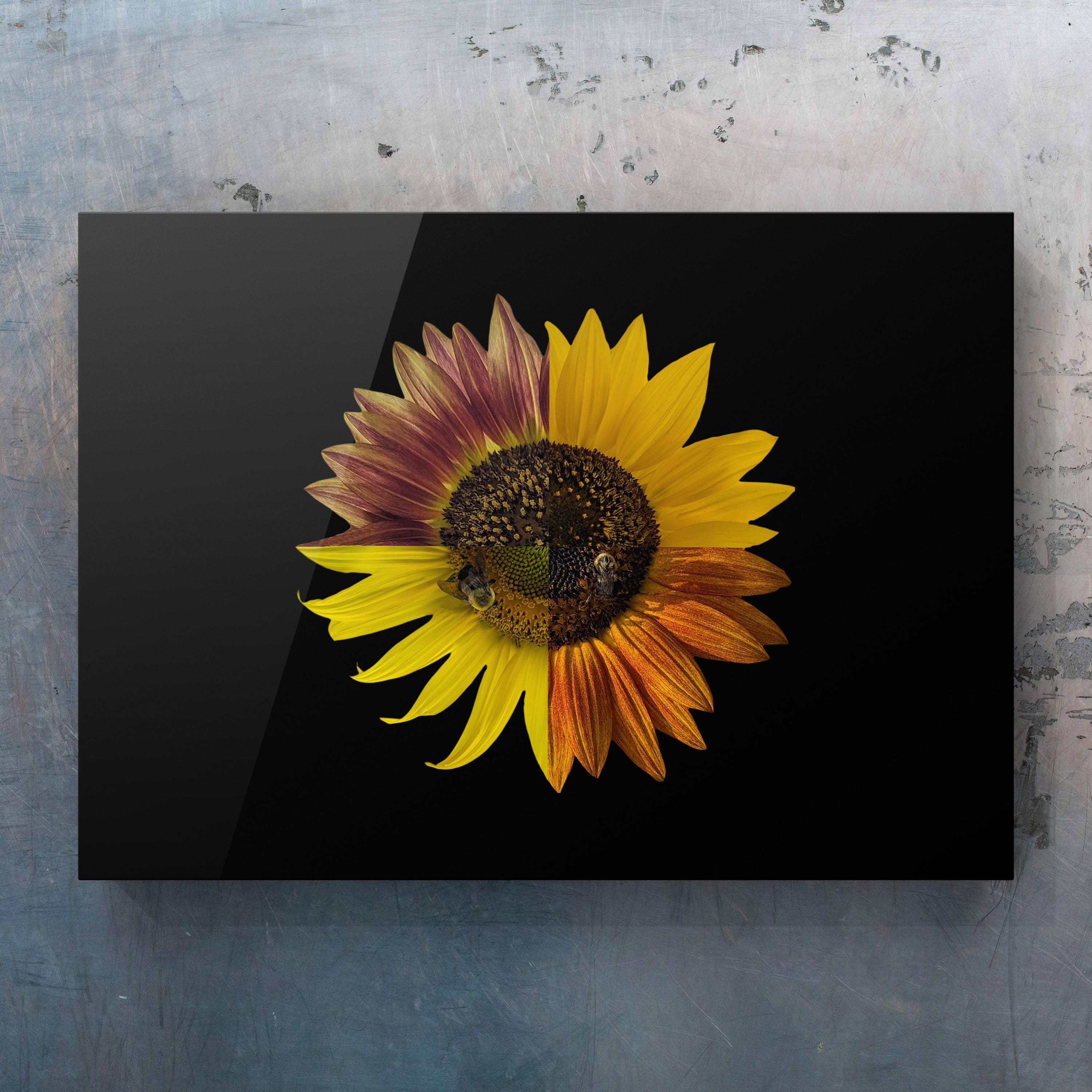 Sunflower Photo Collage Art Print: Honey Bee Floral Garden Artwork