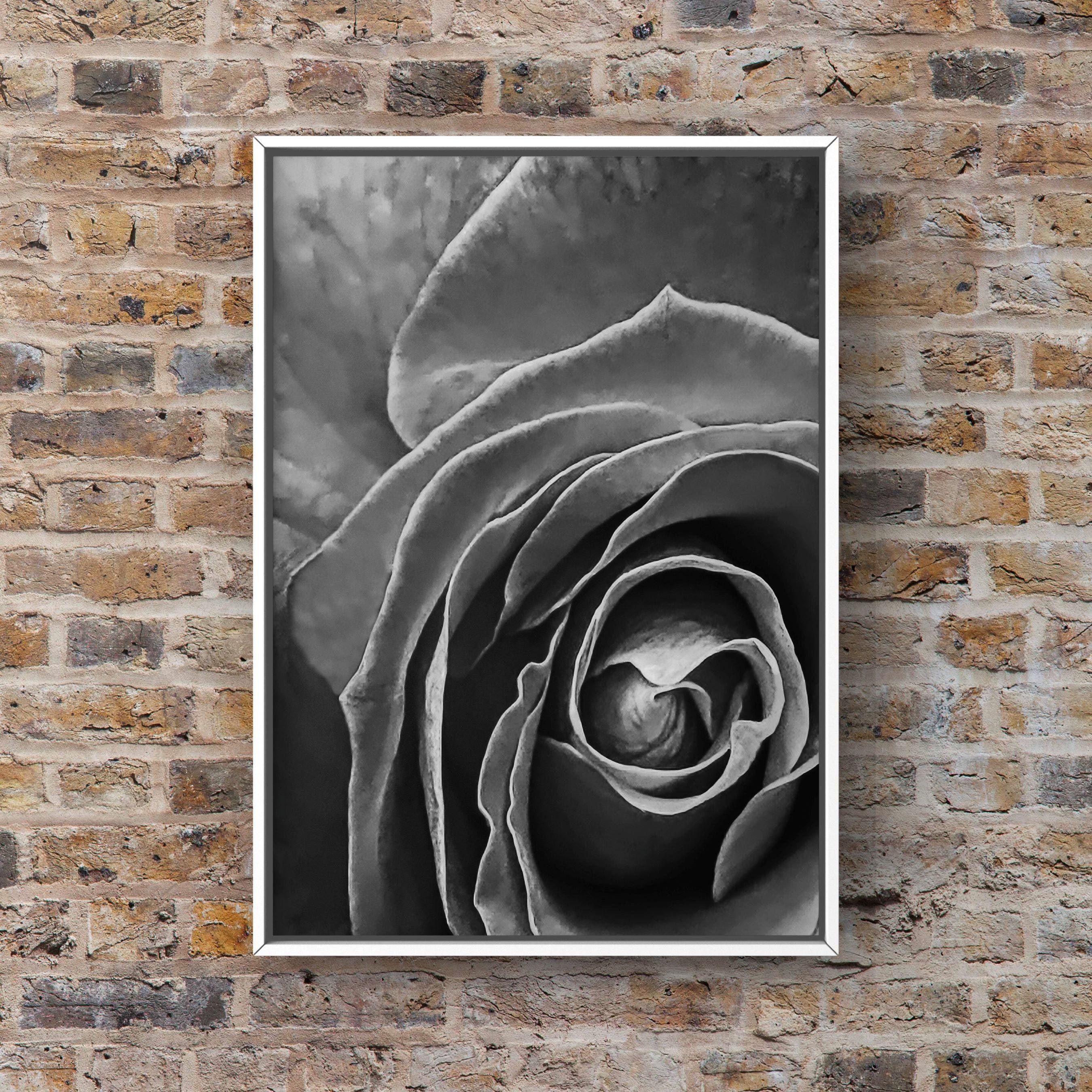 Monochrome Rose Fine Art Print, Black and White Photo, Flower