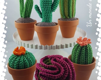 Mes petits cactus (Anglais)