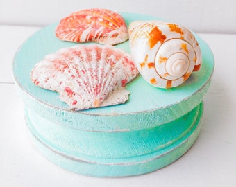 Shell display, shell stand, beach decor, shells , sea shells, beach house decor, coastal decor, gift for her mermaid, turquoise decor, teal