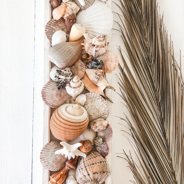 Coastal Centerpiece - Etsy