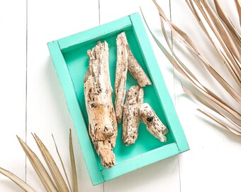 Tropical decor home girl nursery tropical baby shower table centerpiece home decor tropical theme room decor island home turquoise tray wood