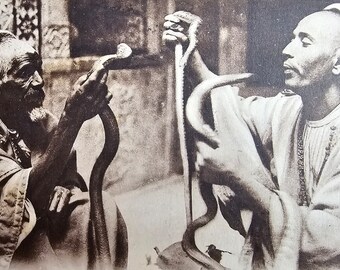 Rare Tunisian Snake Charmers /// North African Reptile Bazaar Circus /// Original Antique French Postcard /// Year 1922