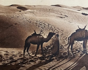 Fine Art Landscape /// African Desert Dunes and Camels /// Mystical Pilgrimage /// Original Vintage French Postcard /// Year 1932