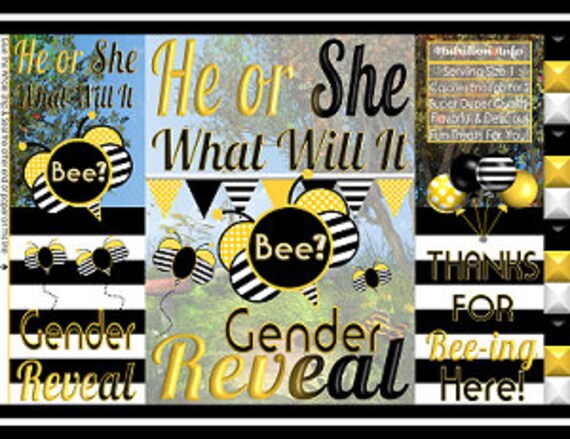 Printable Potato Chip Bags | He or She Gender Reveal What Will It Bee Baby Shower Theme | Instant Download Il_570xn