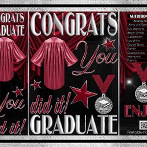 Printable Potato Chip Bags | Graduation Congrats Graduate School Champagne Party Favors | Burgundy Maroon Silver Black