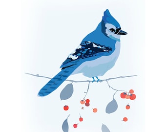 Blue Jay Bird & Cotoneaster Limited Edition Print