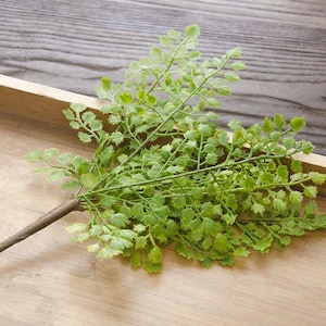 Set mit 6 künstlichen Greenery Realistische Softplastik Frauenhaar Farn Blumensträuße - für Hochzeitssträuße, Tischdekoration, DIY Kunsthandwerk