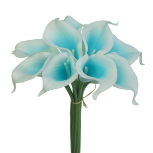 May include: A bouquet of 7 artificial calla lilies with white petals and blue centres. The stems are green and tied together with twine.