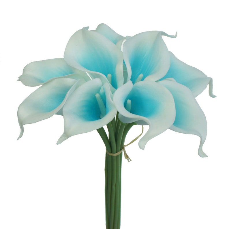 May include: A bouquet of 7 artificial calla lilies with white petals and blue centres. The stems are green and tied together with twine.