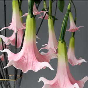 May include: Close-up of several pink and white trumpet-shaped flowers with green stems. The flowers have a delicate, ruffled edge and are arranged against a grey background. The stems are a vibrant green.