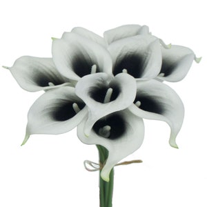 May include: A bouquet of 7 white calla lilies with black centres. The lilies are tied together with twine.
