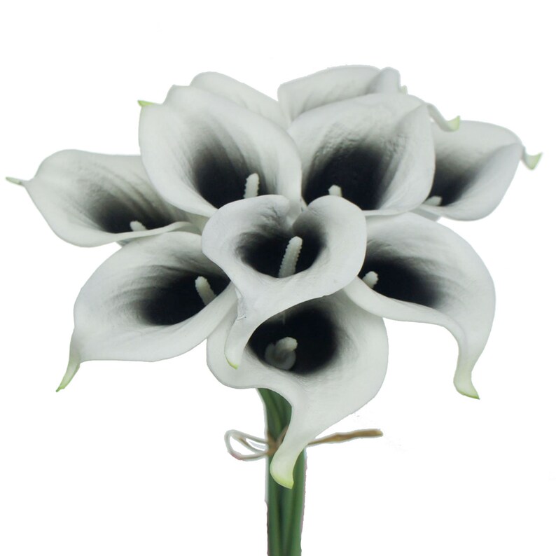 May include: A bouquet of 7 white calla lilies with black centres. The lilies are tied together with twine.