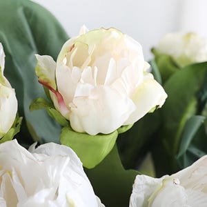 May include: Close-up of a bouquet of white peonies with green leaves. The petals have a soft, creamy color with hints of pink and yellow. The flowers are in various stages of bloom, creating a natural and delicate arrangement.