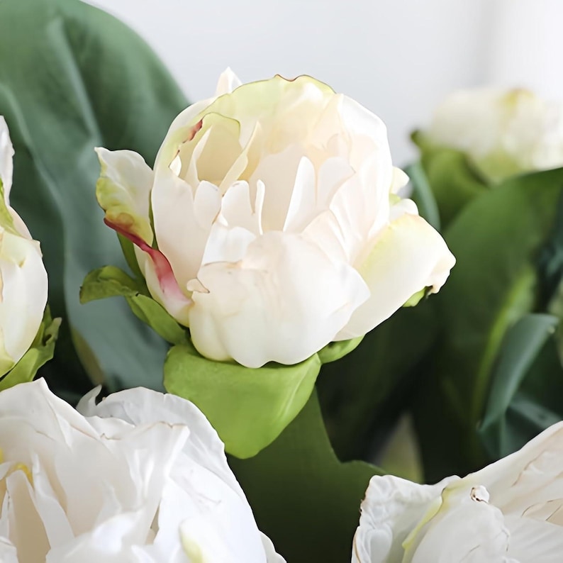 May include: Close-up of a bouquet of white peonies with green leaves. The petals have a soft, creamy color with hints of pink and yellow. The flowers are in various stages of bloom, creating a natural and delicate arrangement.