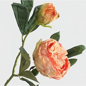 May include: Two artificial peony stems with peach-colored blooms and green leaves. One flower is fully open, revealing layers of petals, while the other is a closed bud. The stems are a light green color.