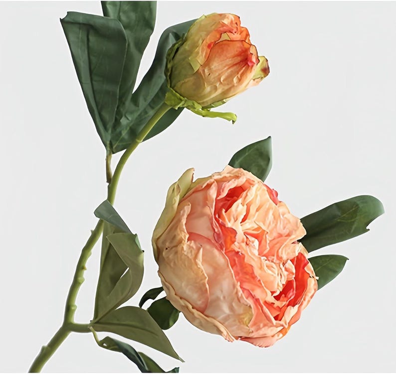 May include: Two artificial peony stems with peach-colored blooms and green leaves. One flower is fully open, revealing layers of petals, while the other is a closed bud. The stems are a light green color.