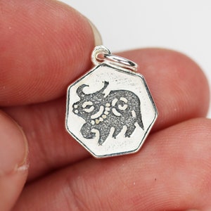 Charm 1pc chinese zodiac charm, 925 sterling silver jewellery findings charm beads ,12mm button charm image 3