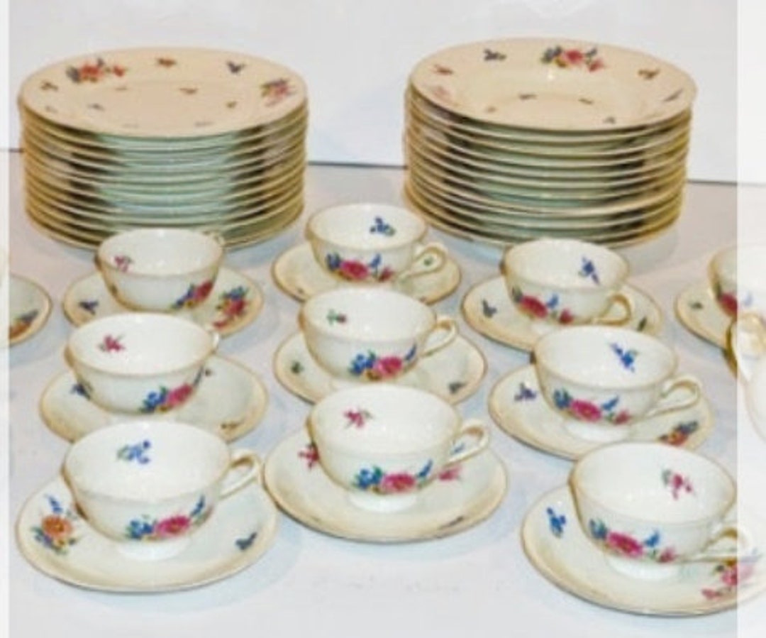 Antique Rare BAVARIA Porcelain Fine China Dinnerware Hertel Jacob