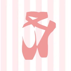 Sticker pointe-schoen | Vinylsticker dans | Danssticker | Autosticker Pointe-schoen | Danspointeschoen | Pointe-schoen | Sticker dans| Sticker dans