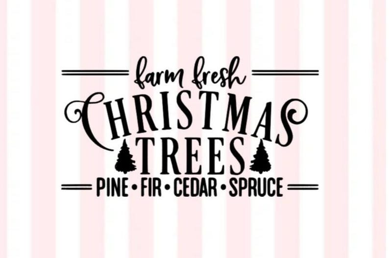 Decalcomania in vinile con alberi di Natale freschi di fattoria / Decorazioni per le vacanze in stile fattoria / Alberi di pino, cedro e abete rosso / Decalcomania per alberi di Natale / Decalcomania fresca di fattoria immagine 1