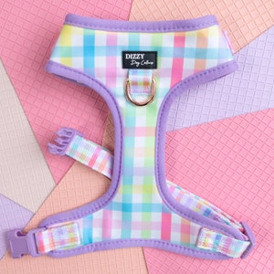DOG HARNESS | Sherbet Gingham | Neck Adjustable Dog Harness