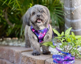 DOG HARNESS - Galaxy - Neck Adjustable Harness