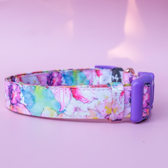 Dizzy dog collars hotsell
