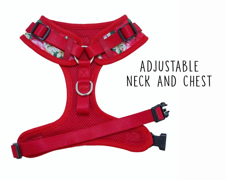 Tropical Dog Harness / Dog Harness Australia / XSXL / Dog Etsy
