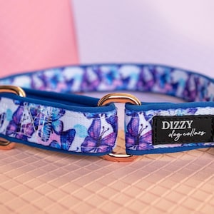 Martingale Dog Collar - Butterfly Ballet
