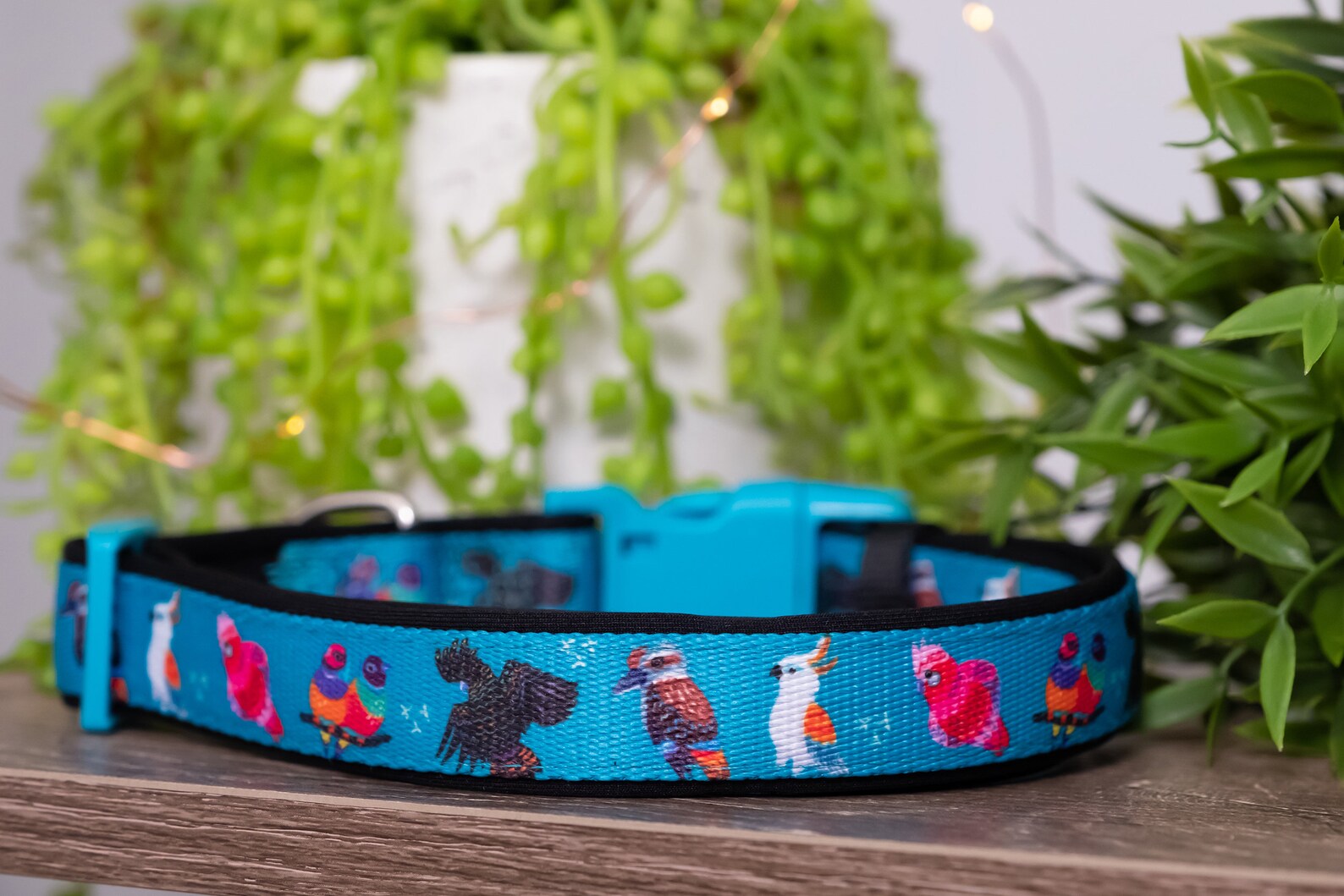 Aussie Birds Dog Collar / Dog Collars Australia Etsy