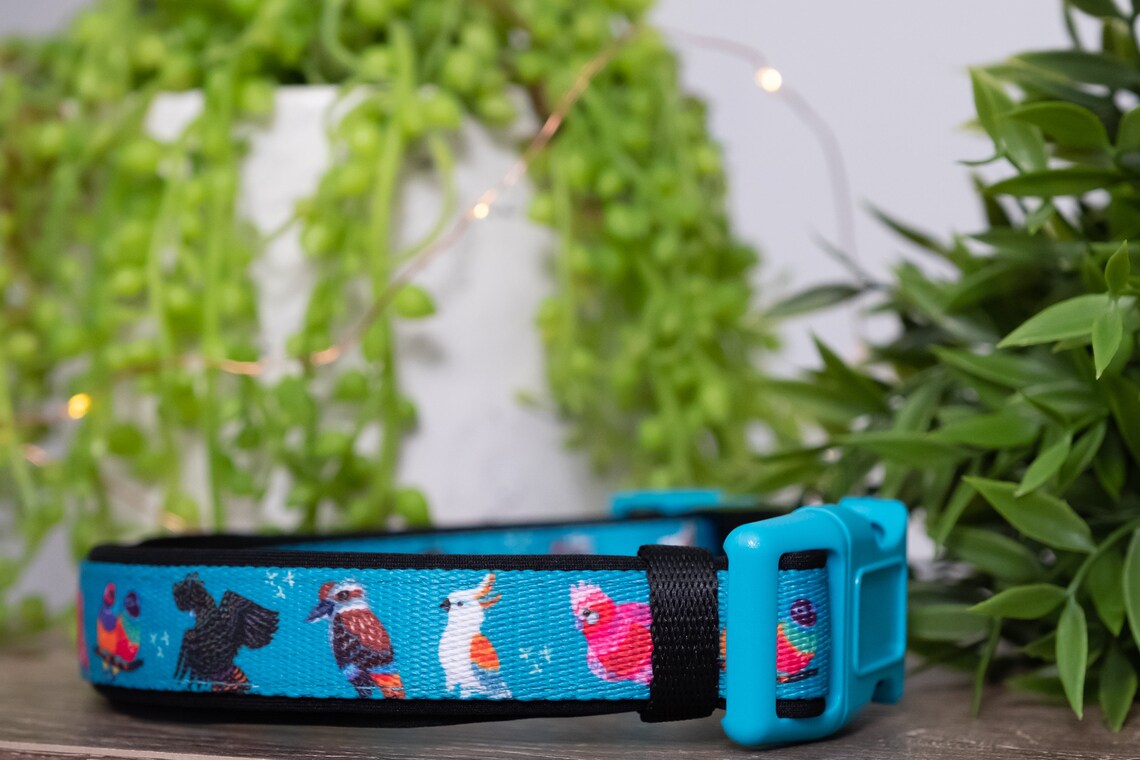 Aussie Birds Dog Collar / Dog Collars Australia Etsy