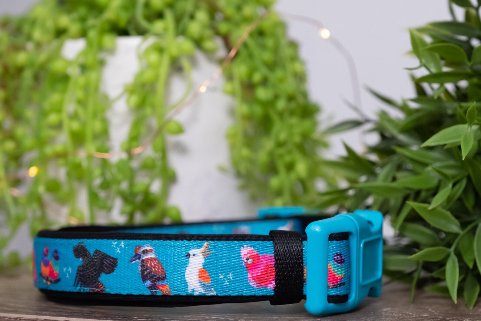 Aussie Birds Dog Collar / Dog Collars Australia Etsy