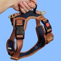 No Pull Dog Harness | Step in | Reflective | Heavy Duty | Easy Reach Handle | The Coco product logo