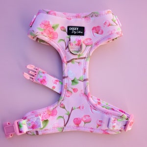 DOG HARNESS | Sweet Sakura | Neck Adjustable Dog Harness