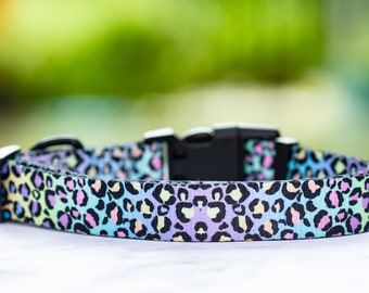 dizzy dog collars