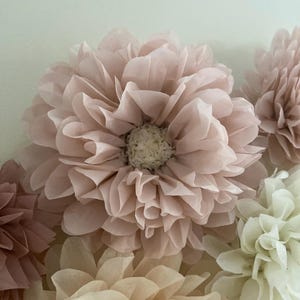 May include: A collection of tissue paper pom-poms in shades of pink and cream. The pom-poms are arranged in a cluster, with the largest pom-pom in the center.
