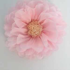 Puede incluir: Una gran flor decorativa de color rosa p&aacute;lido con m&uacute;ltiples capas de delicados p&eacute;talos. El centro de la flor es de un color beige m&aacute;s claro. La flor probablemente est&aacute; hecha de un material suave y transparente y est&aacute; montada sobre una superficie blanca.
