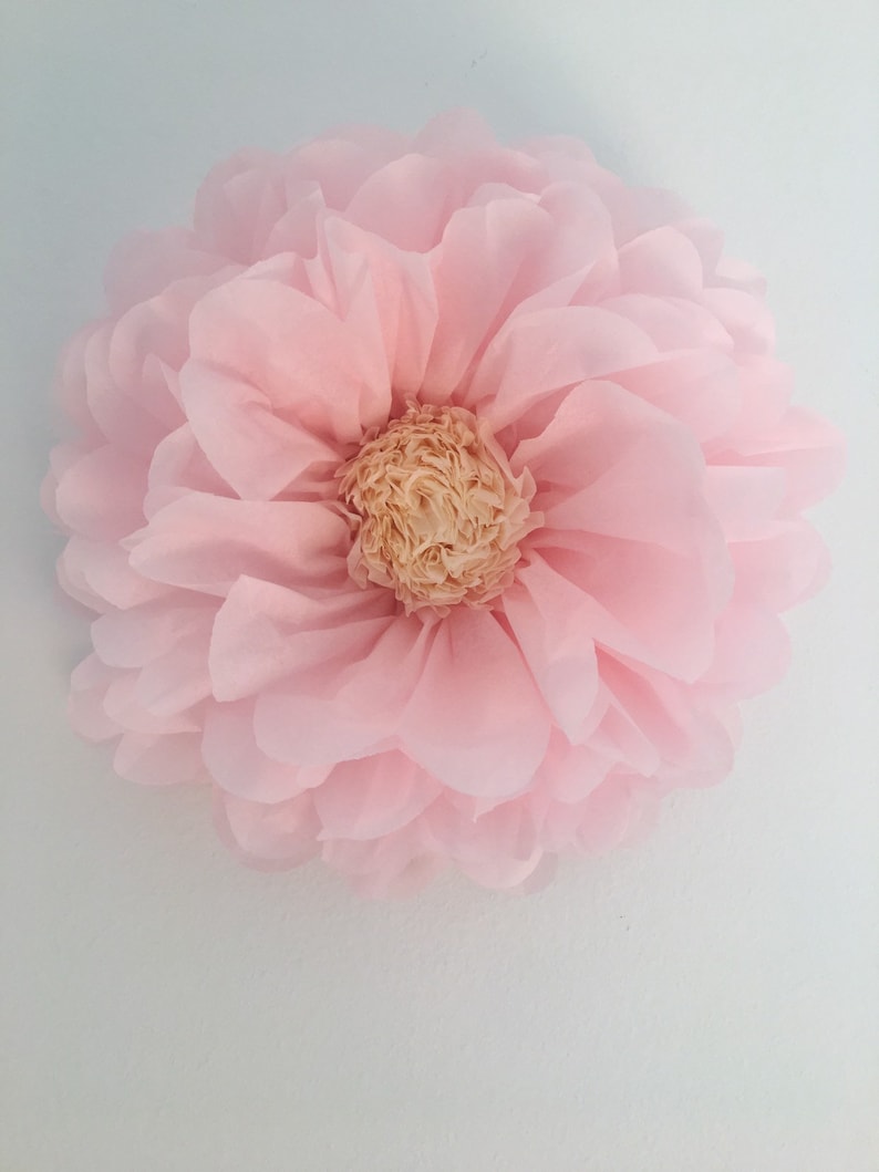 Puede incluir: Una gran flor decorativa de color rosa p&aacute;lido con m&uacute;ltiples capas de delicados p&eacute;talos. El centro de la flor es de un color beige m&aacute;s claro. La flor probablemente est&aacute; hecha de un material suave y transparente y est&aacute; montada sobre una superficie blanca.