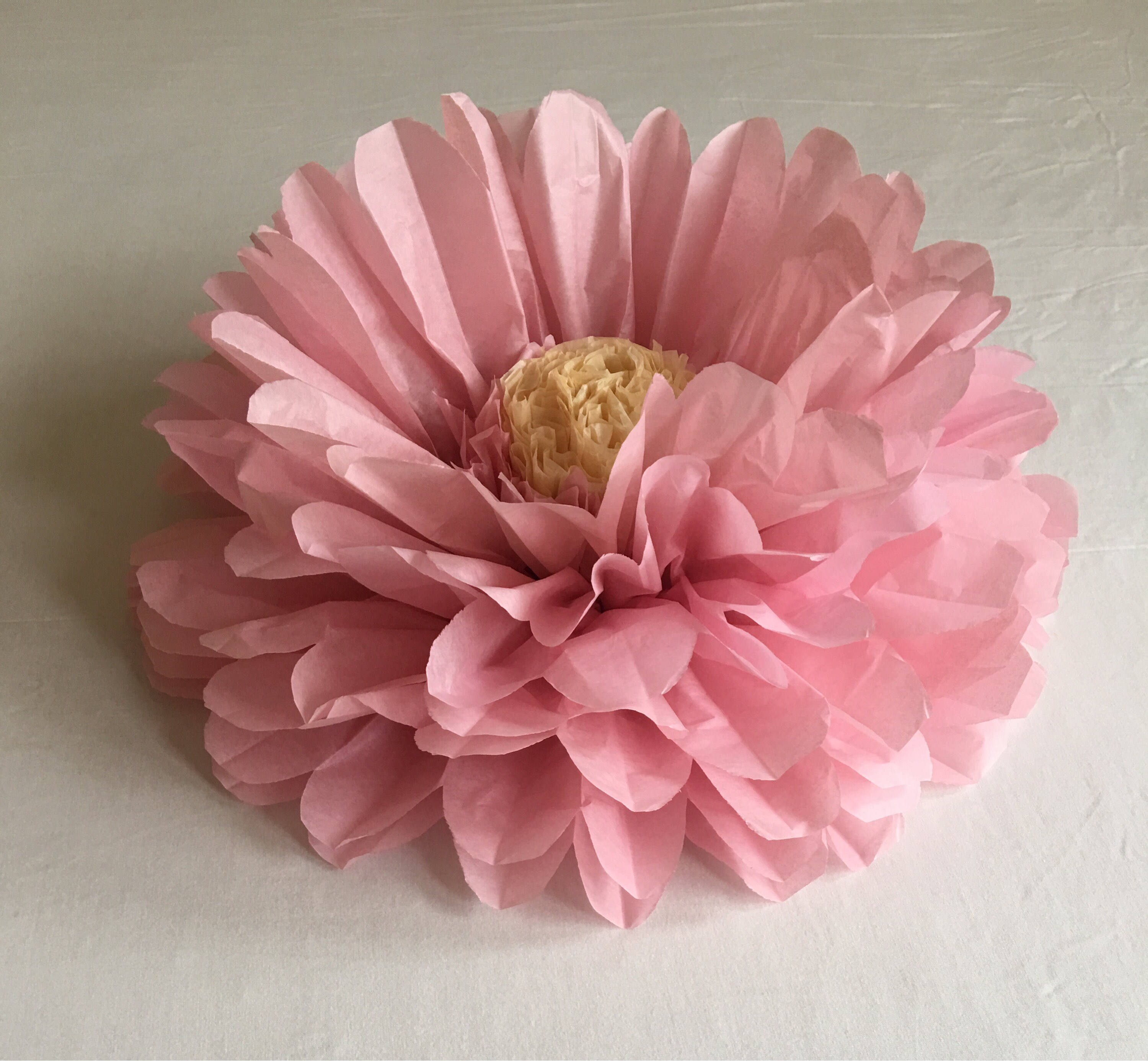 Large 14 pastel paper flower set for parties room decor Etsy