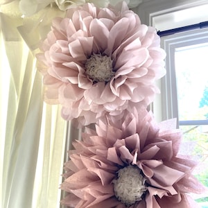 May include: Three large tissue paper flowers in shades of pink and white. The flowers are hanging from a white curtain and a window.
